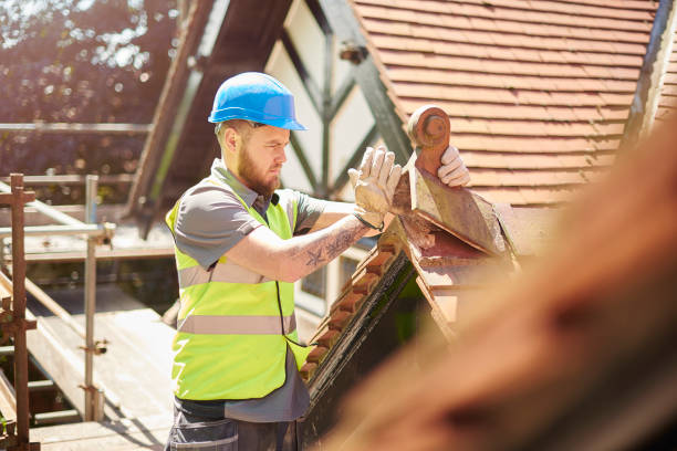 Best Roof Maintenance Services  in Harrison, NY